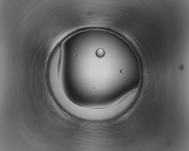 X0000116641077200912291550