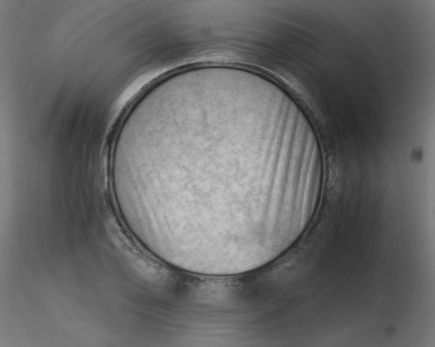 X0000116641078200912291550