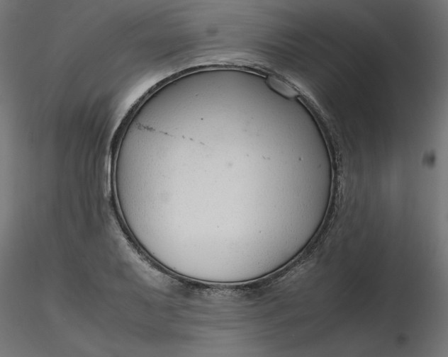 X0000116641079200912291550