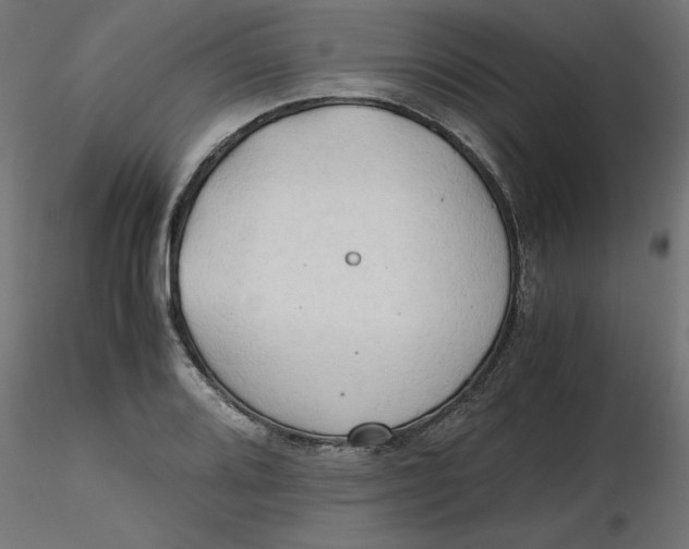 X0000116641080200912291550