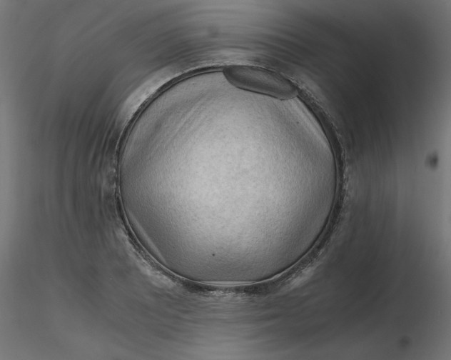 X0000116641081200912291550