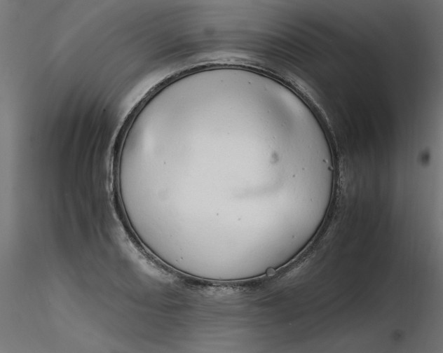 X0000116641082200912291550