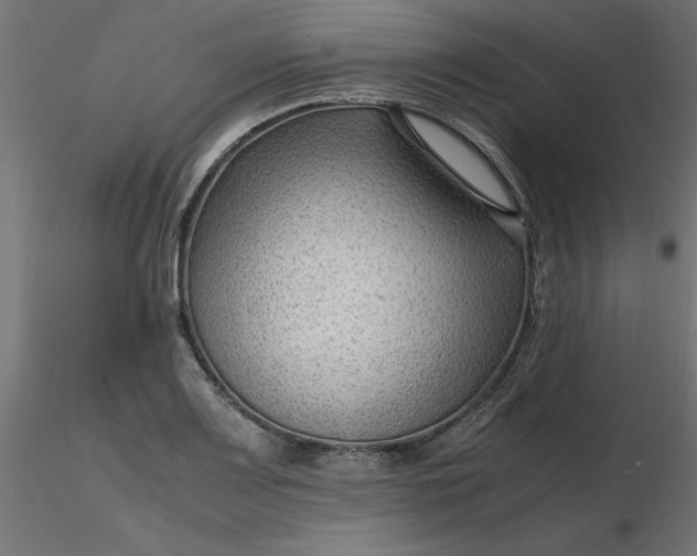 X0000116641083200912291550