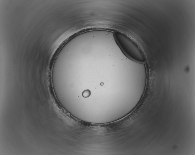 X0000116641085200912291550