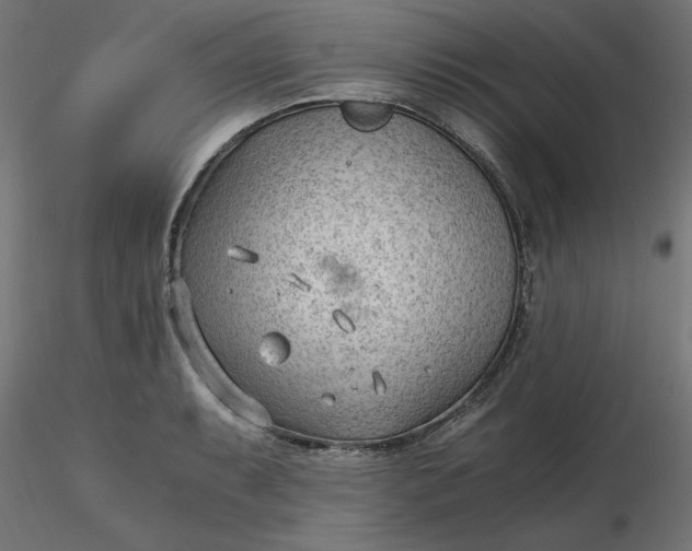 X0000116641087200912291550