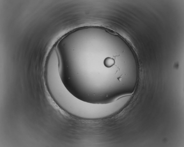 X0000116641088200912291550