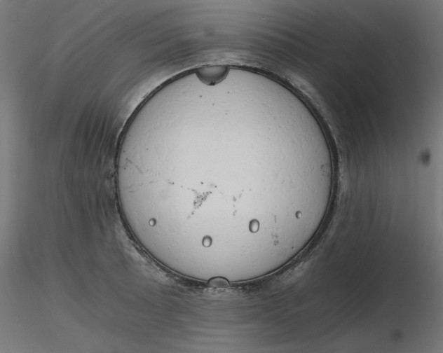 X0000116641089200912291550