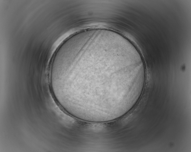 X0000116641090200912291550