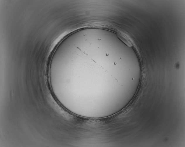 X0000116641091200912291550