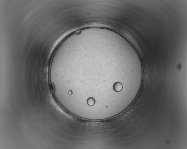 X0000116641092200912291550