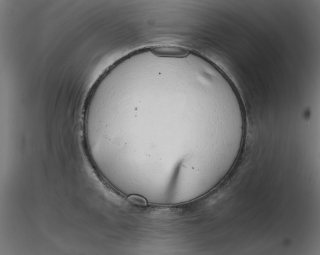 X0000116641093200912291550