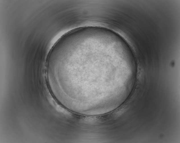 X0000116641094200912291550