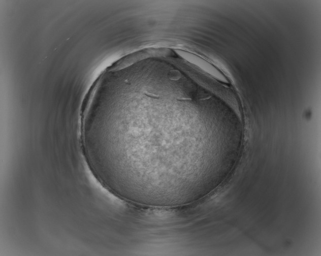 X0000116641095200912291550