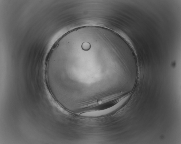 X0000116641096200912291550