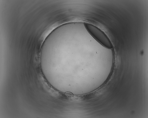 X0000116641097200912291550