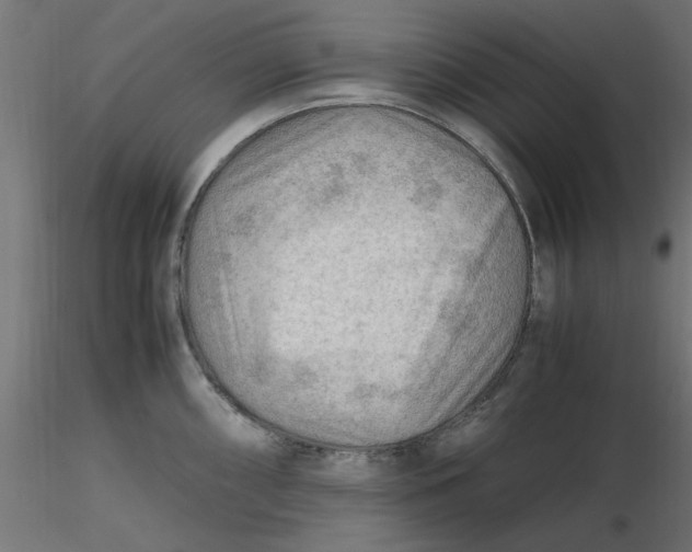 X0000116641098200912291550