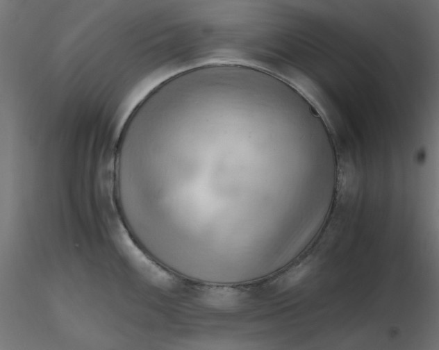 X0000116641100200912291550