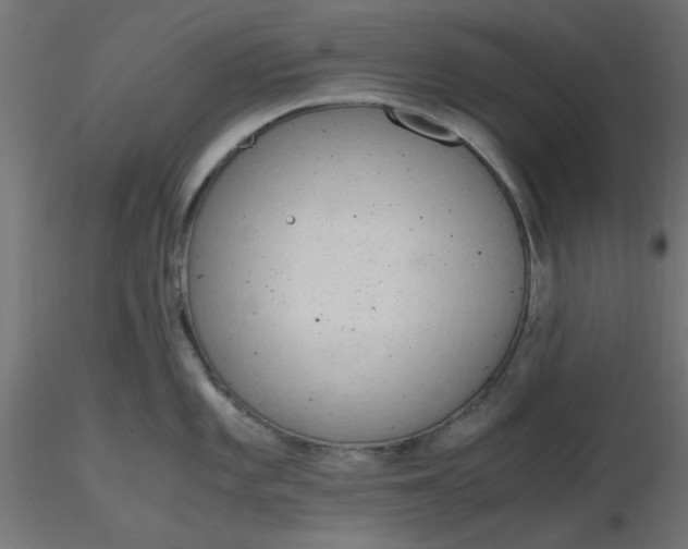 X0000116641101200912291550