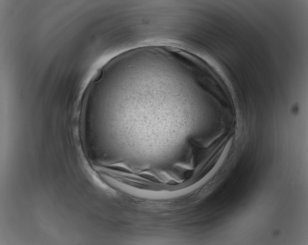 X0000116641102200912291550