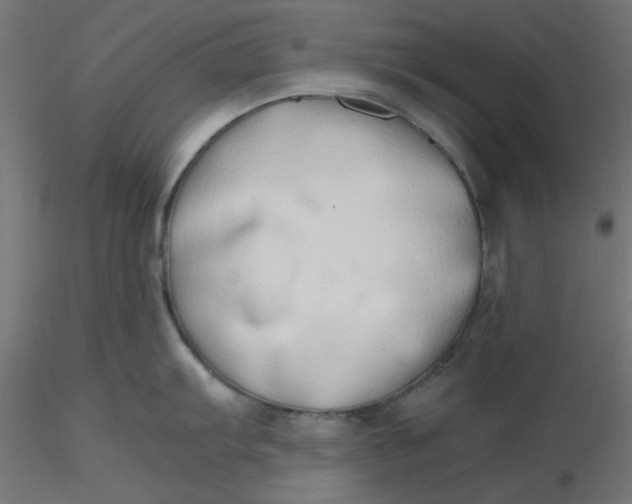 X0000116641103200912291550