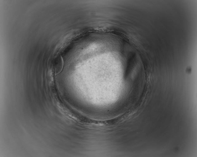 X0000116641106200912291549