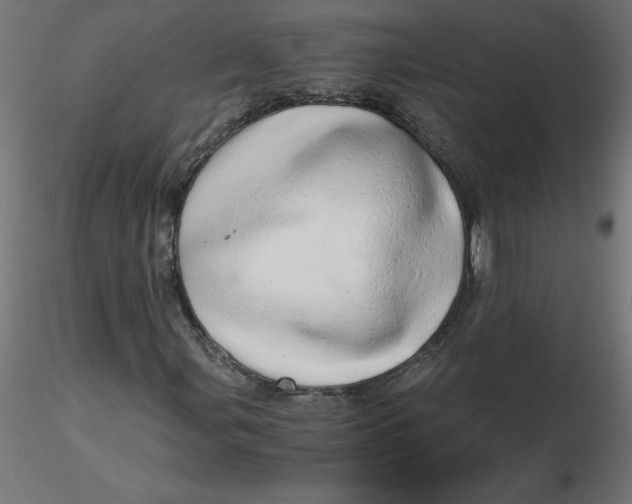 X0000116641107200912291549