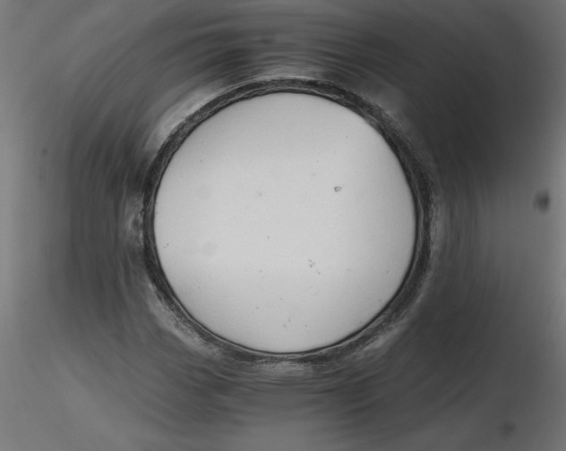 X0000116641113200912291549