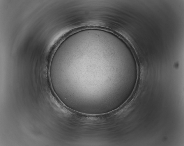 X0000116641115200912291549