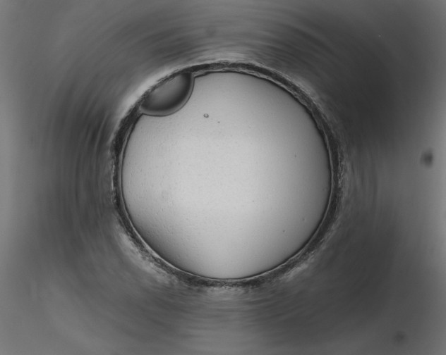 X0000116641118200912291549