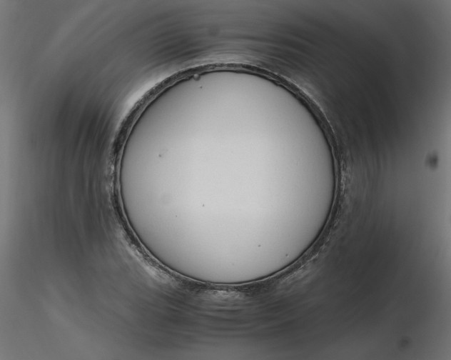 X0000116641119200912291549