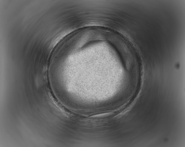 X0000116641121200912291549