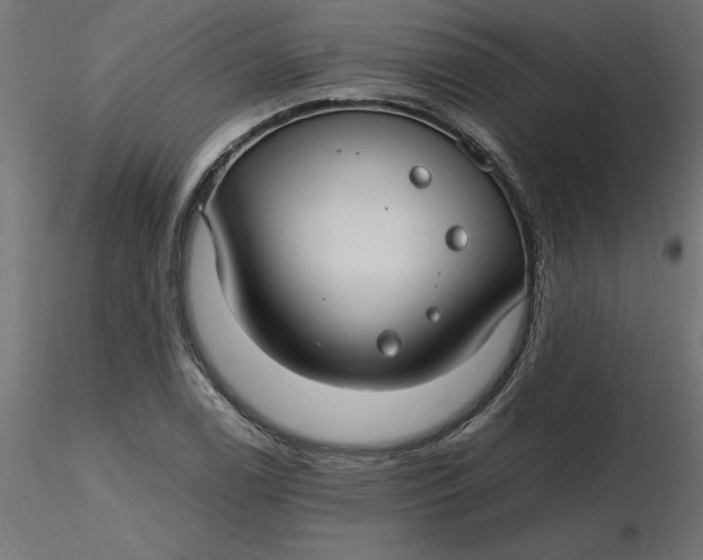 X0000116641122200912291549