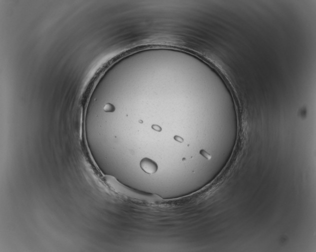 X0000116641123200912291549