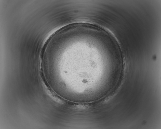 X0000116641125200912291549