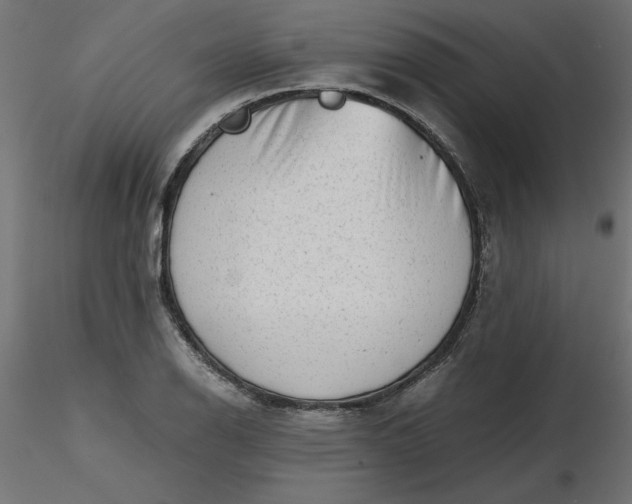 X0000116641126200912291549