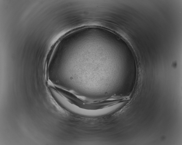 X0000116641127200912291549