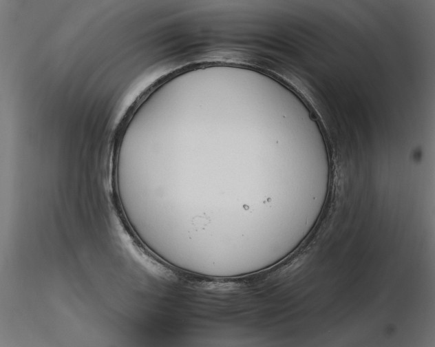 X0000116641131200912291550