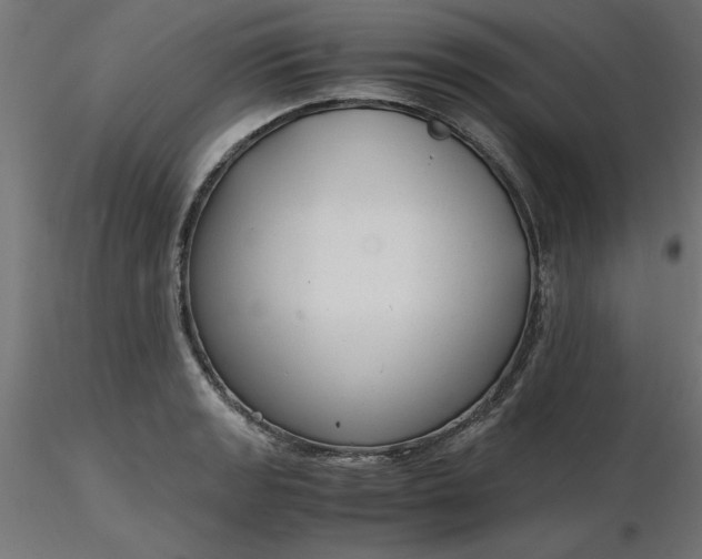 X0000116641133200912291550