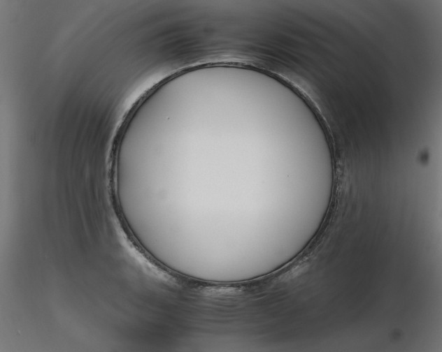 X0000116641135200912291550