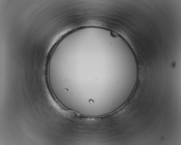 X0000116641139200912291550