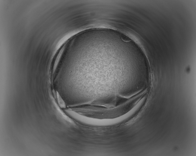 X0000116641141200912291550