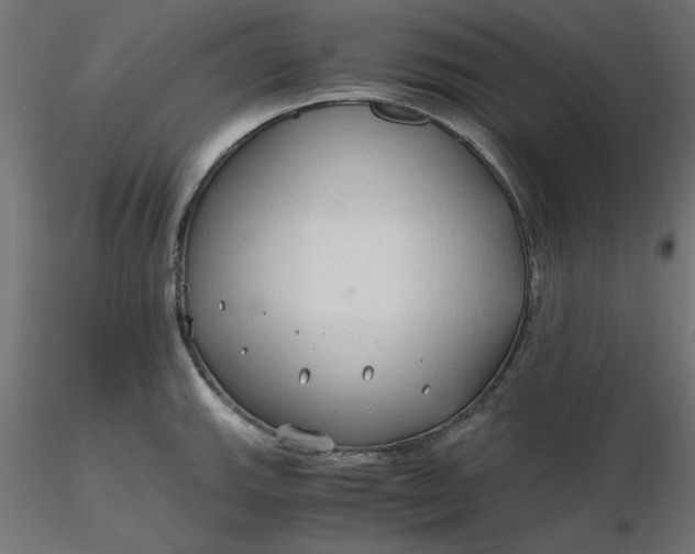 X0000116641143200912291550