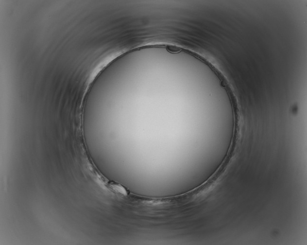 X0000116641145200912291550