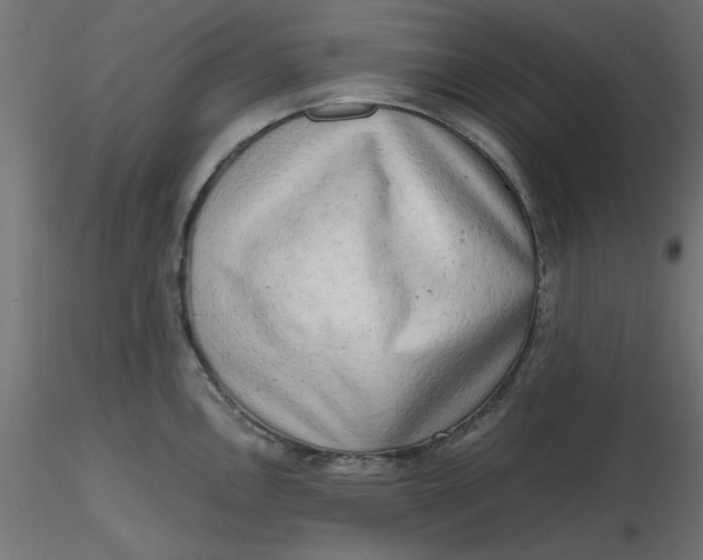 X0000116641146200912291550