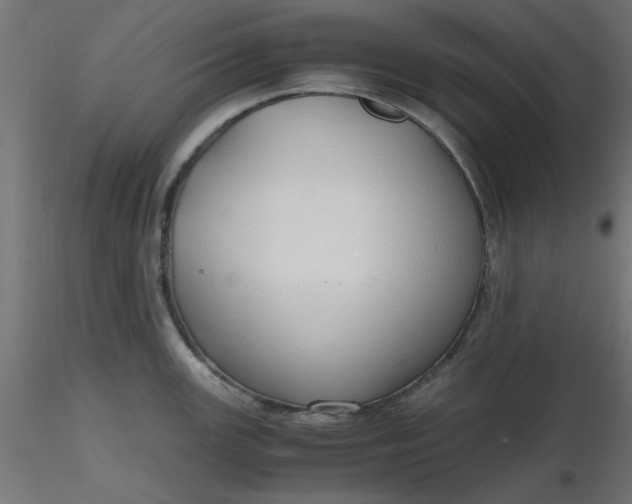 X0000116641147200912291550