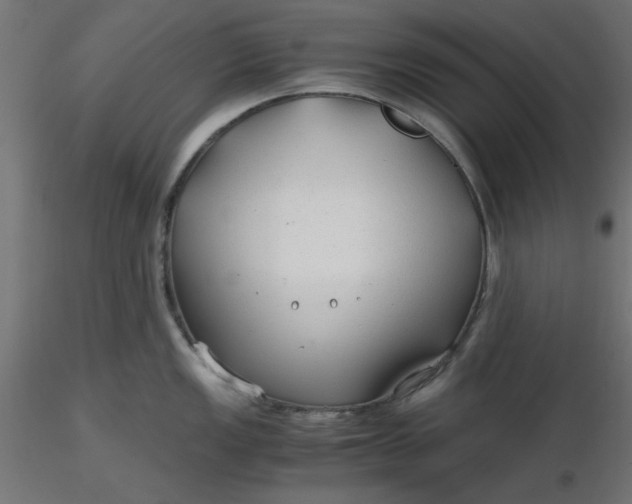 X0000116641149200912291550