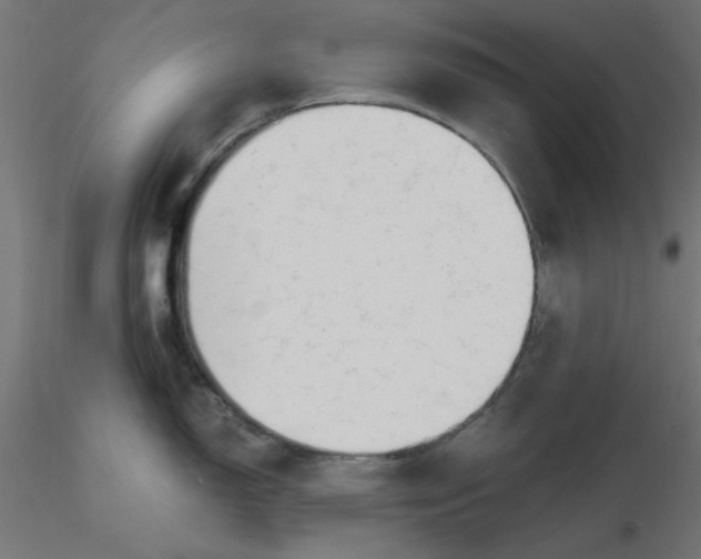 X0000116641150200912291550