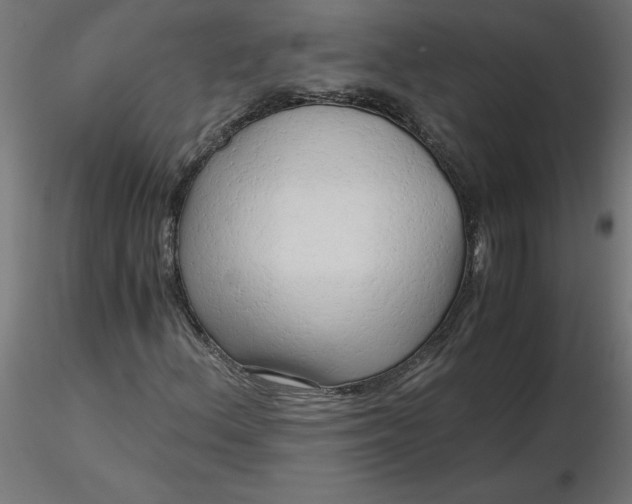 X0000116641156200912291549