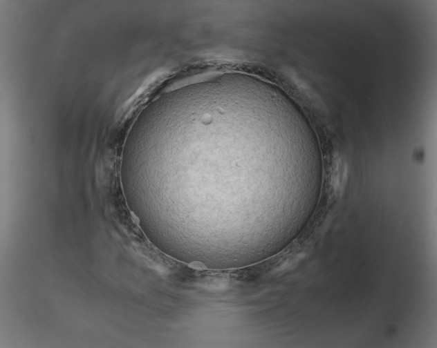 X0000116641157200912291549