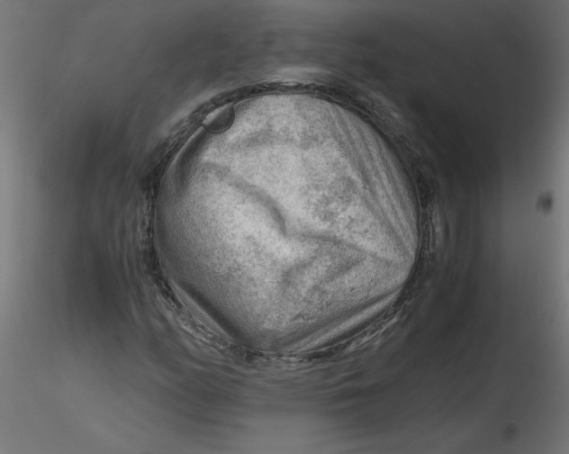 X0000116641158200912291549